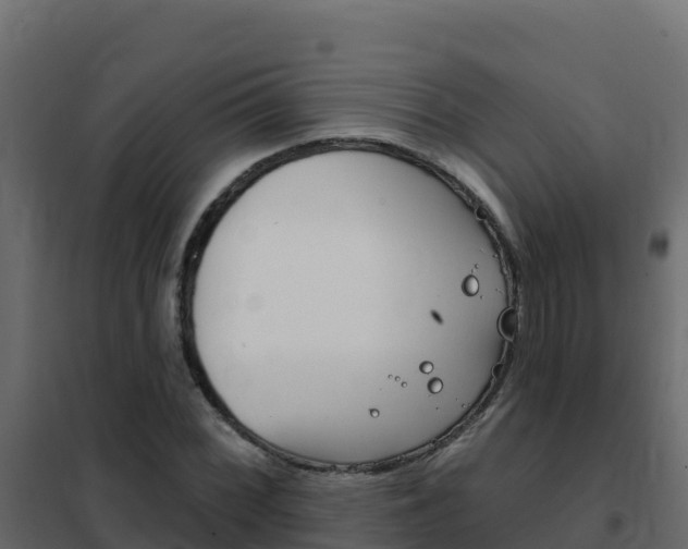 X0000102491068200808081051