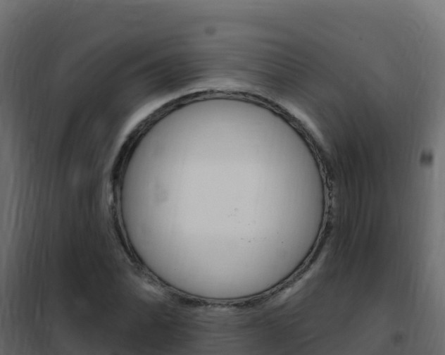X0000102491070200808081051