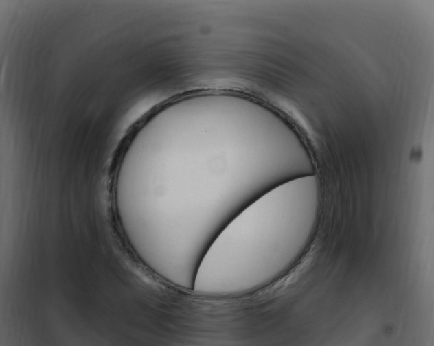 X0000102491071200808081051
