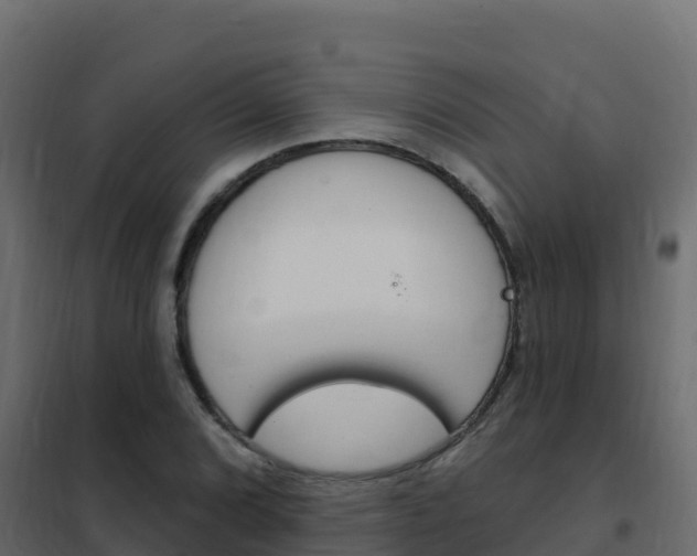 X0000102491072200808081051
