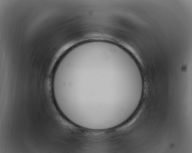 X0000102491074200808081051