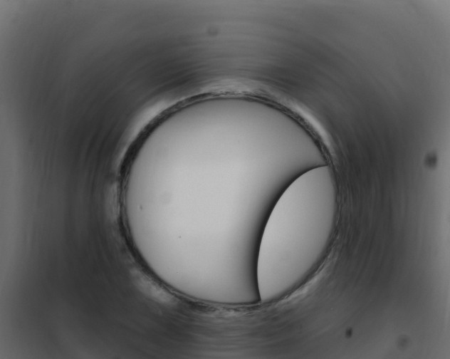 X0000102491075200808081051