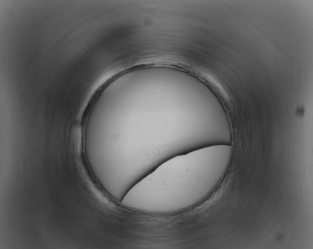X0000102491079200808081051