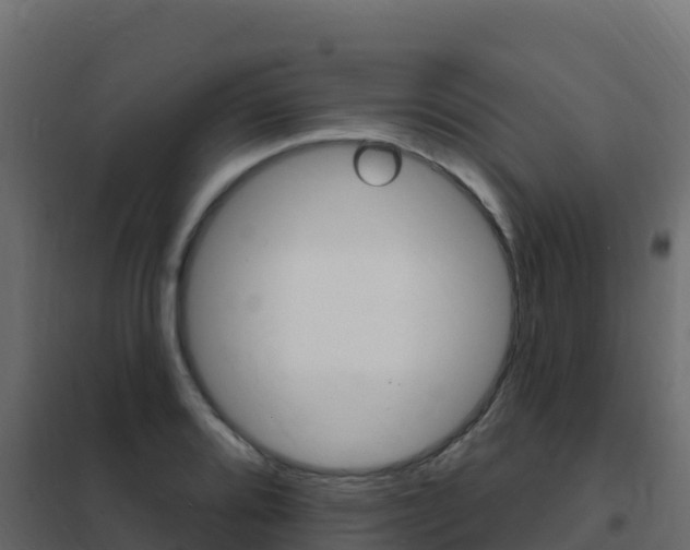 X0000102491080200808081050