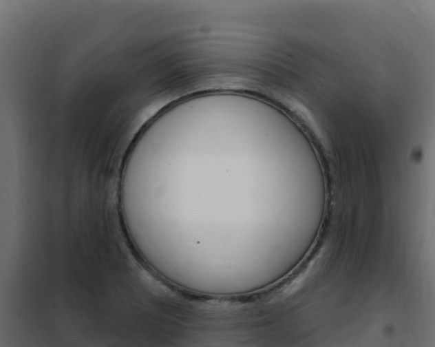 X0000102491081200808081050