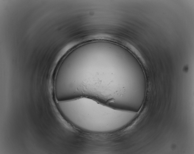 X0000102491082200808081050