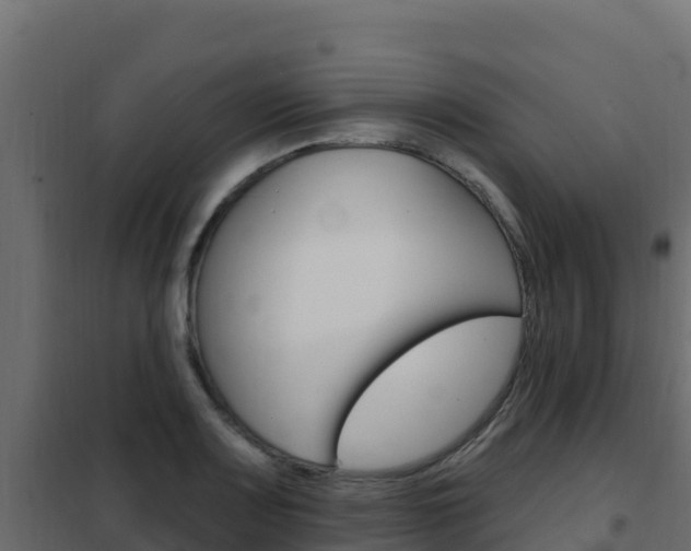 X0000102491083200808081050