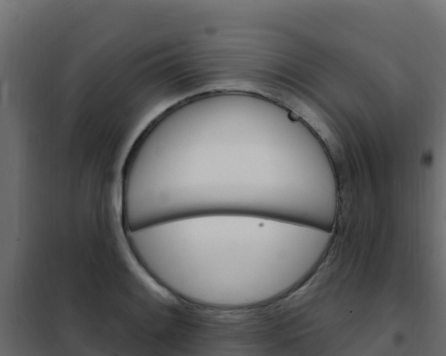 X0000102491084200808081050