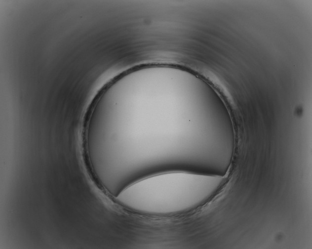 X0000102491085200808081050