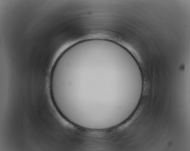 X0000102491086200808081050