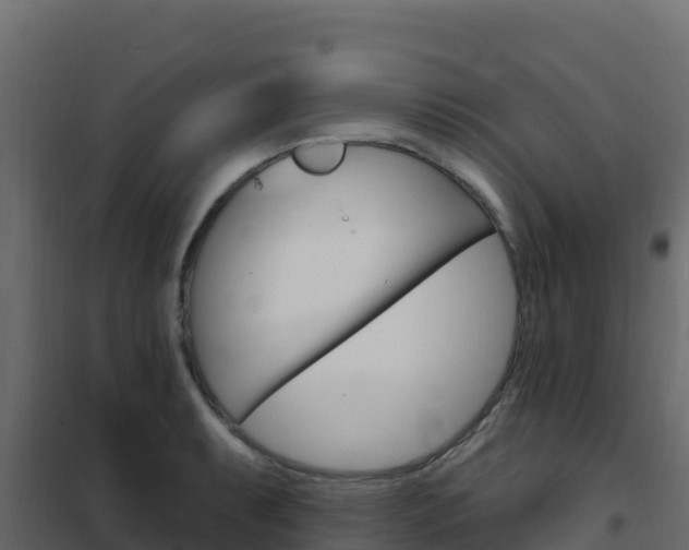 X0000102491087200808081050