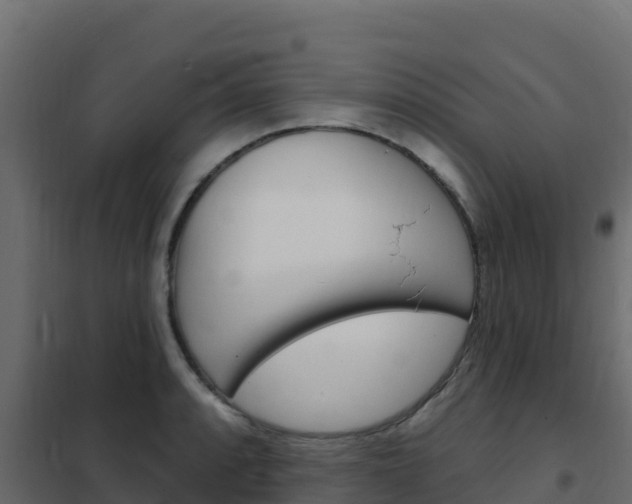 X0000102491088200808081050