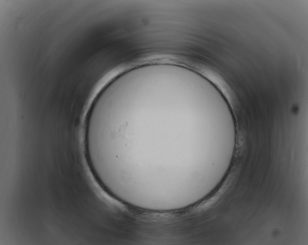 X0000102491090200808081050