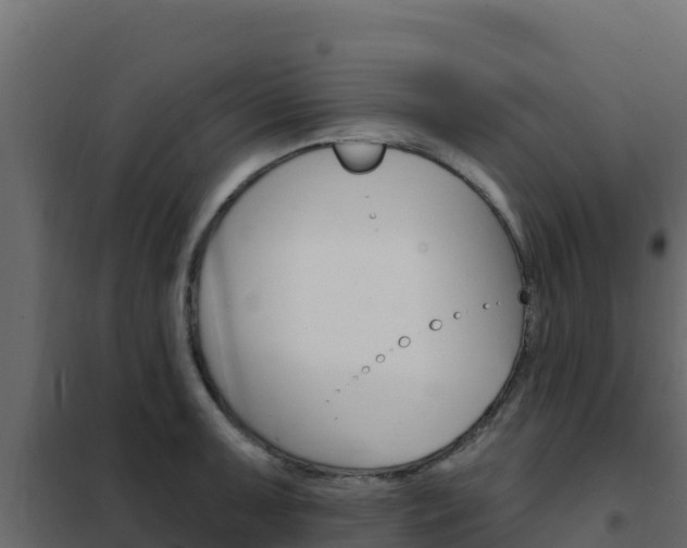 X0000102491091200808081050