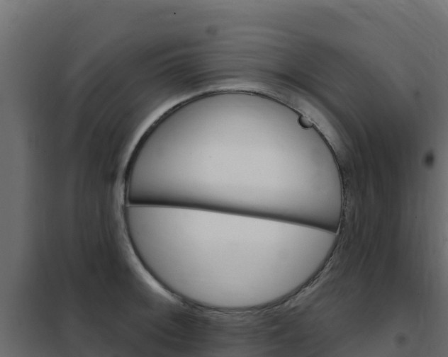 X0000102491092200808081050