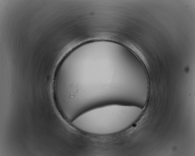X0000102491093200808081050