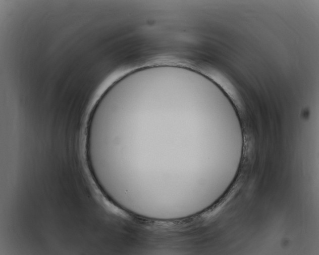 X0000102491094200808081050