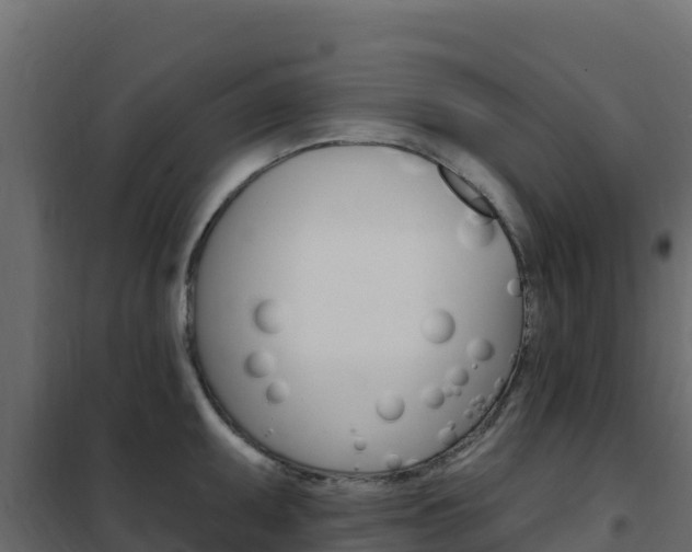 X0000102491095200808081050