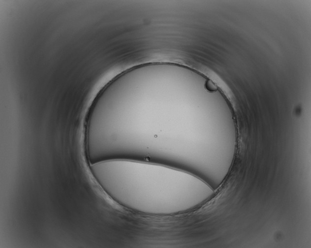 X0000102491096200808081050