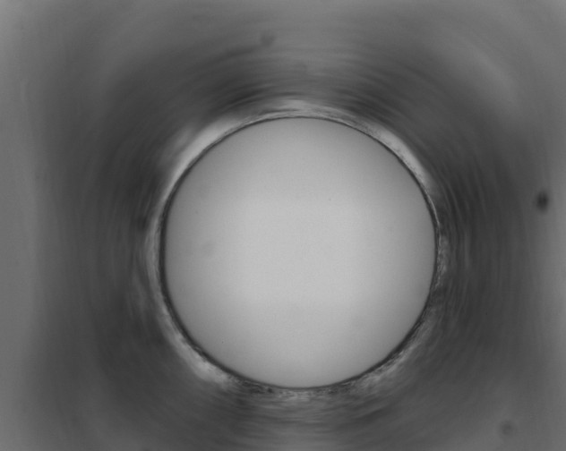 X0000102491098200808081050