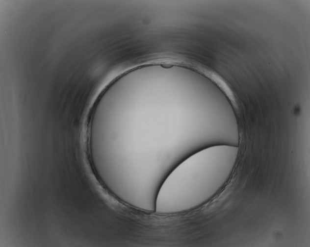 X0000102491099200808081050