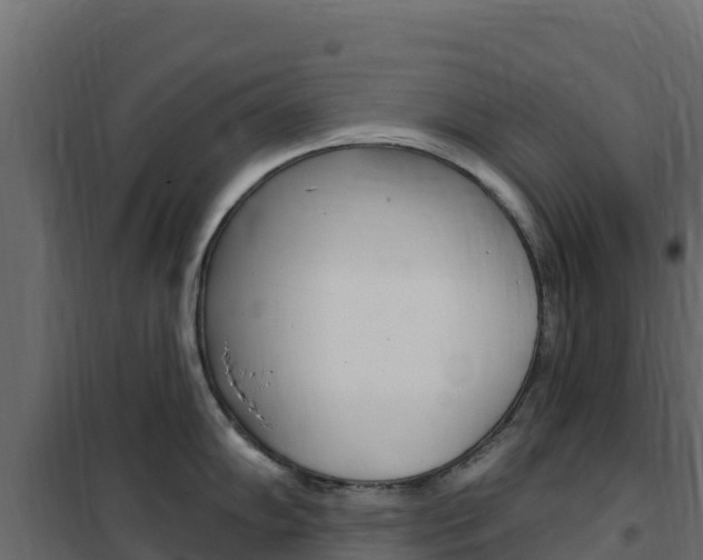 X0000102491102200808081050