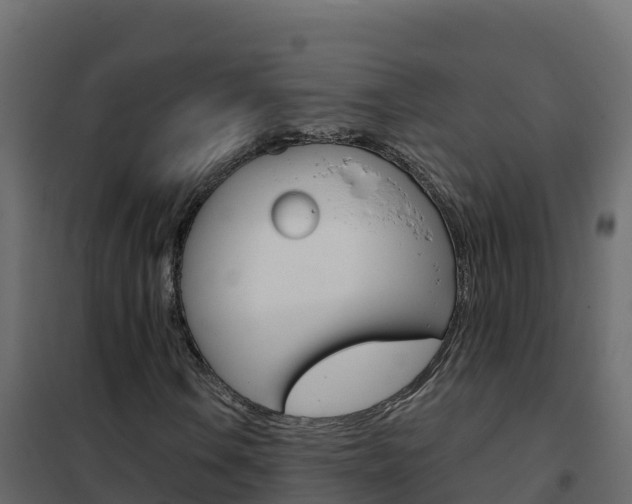 X0000102491106200808081049