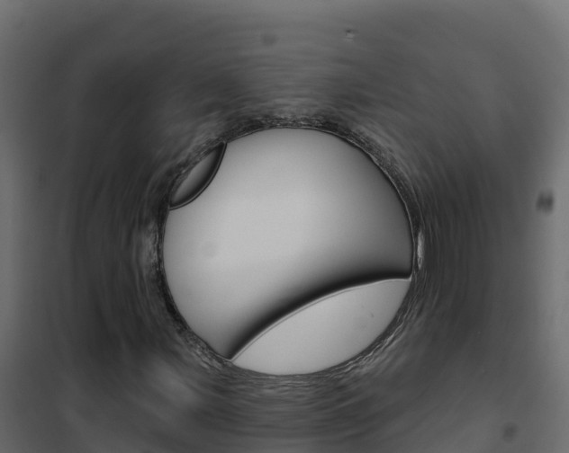 X0000102491107200808081049