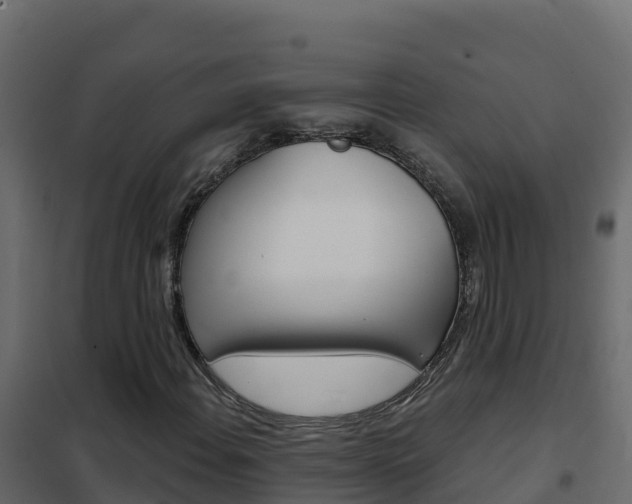 X0000102491108200808081049