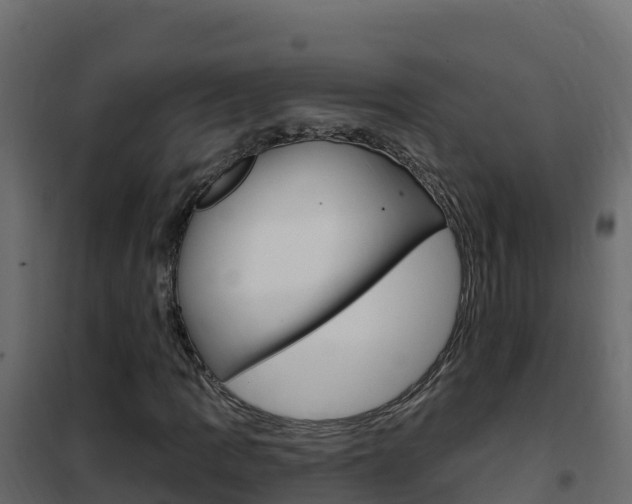 X0000102491109200808081049