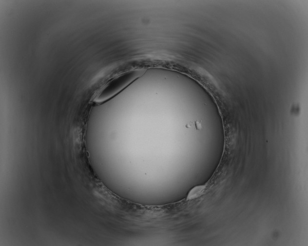 X0000102491110200808081049
