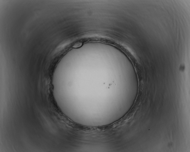 X0000102491111200808081049