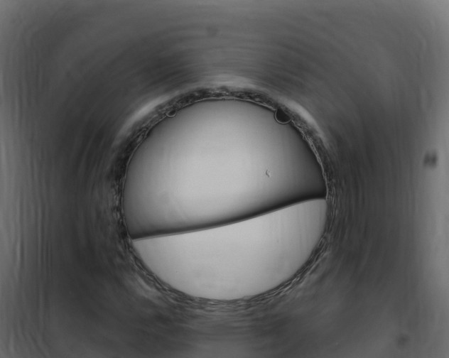 X0000102491112200808081049
