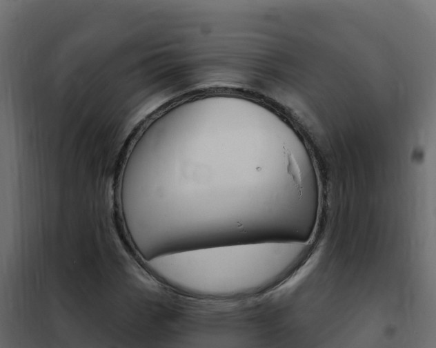 X0000102491113200808081049