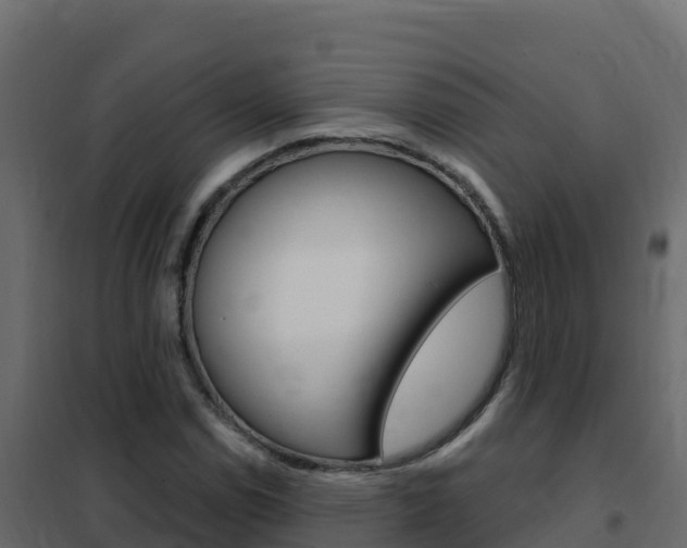 X0000102491114200808081049