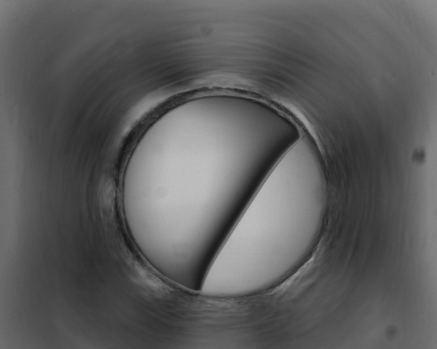 X0000102491115200808081049