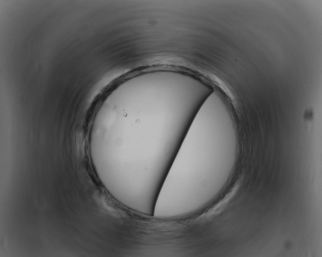X0000102491117200808081049