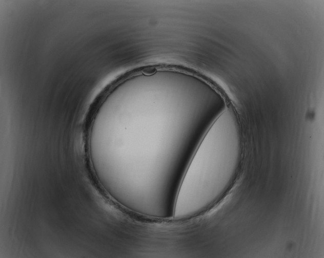 X0000102491118200808081050