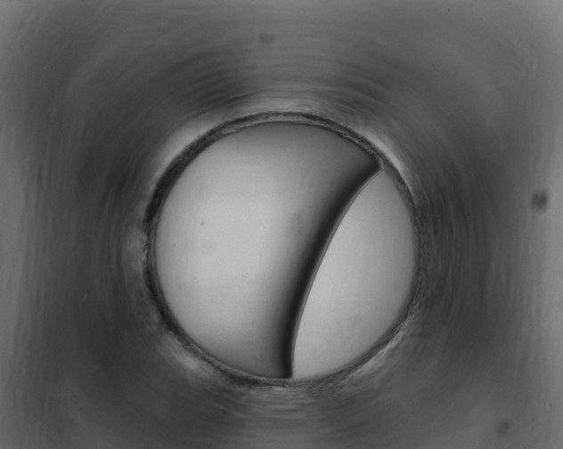 X0000102491119200808081050
