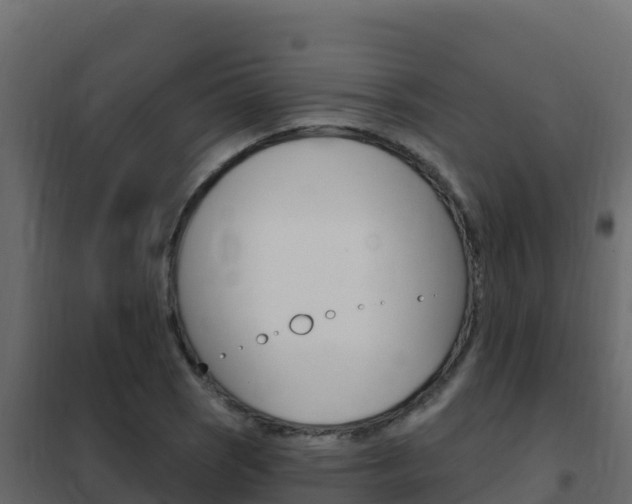 X0000102491121200808081050