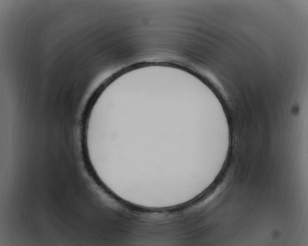 X0000102491122200808081050