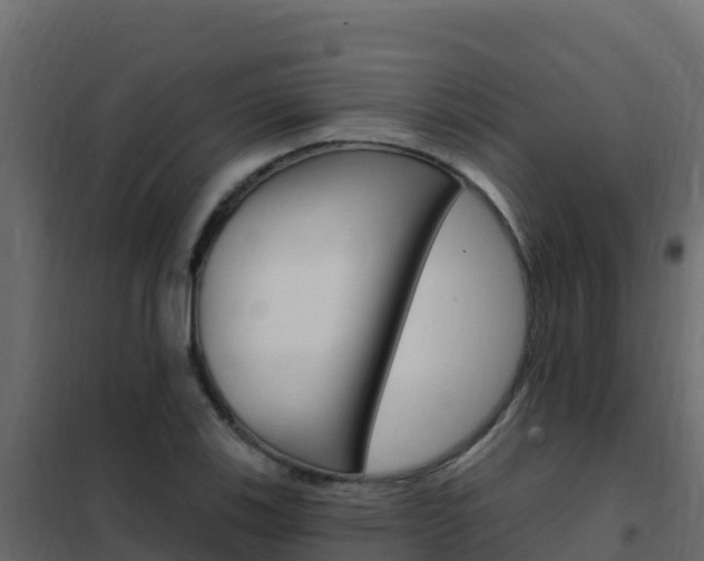 X0000102491123200808081050