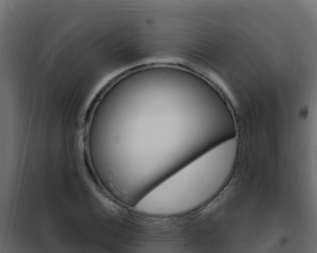 X0000102491124200808081050