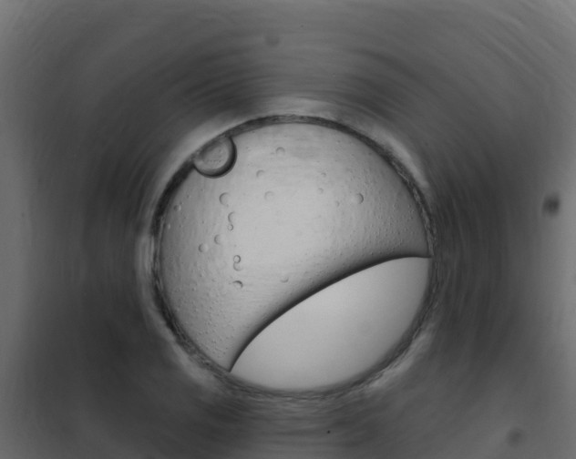 X0000102491125200808081050