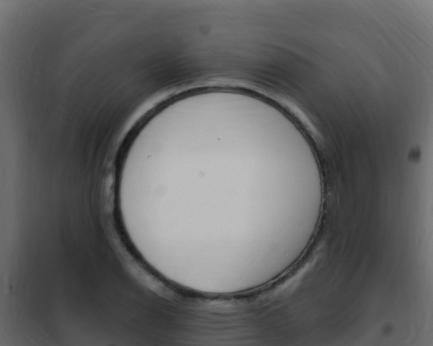 X0000102491126200808081050