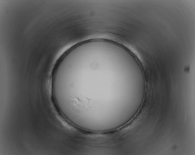 X0000102491127200808081050