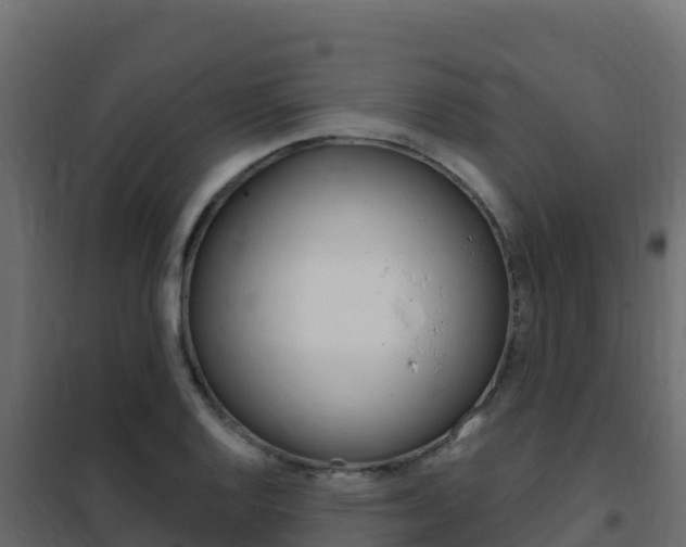 X0000102491128200808081050