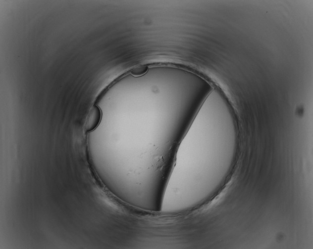X0000102491129200808081050