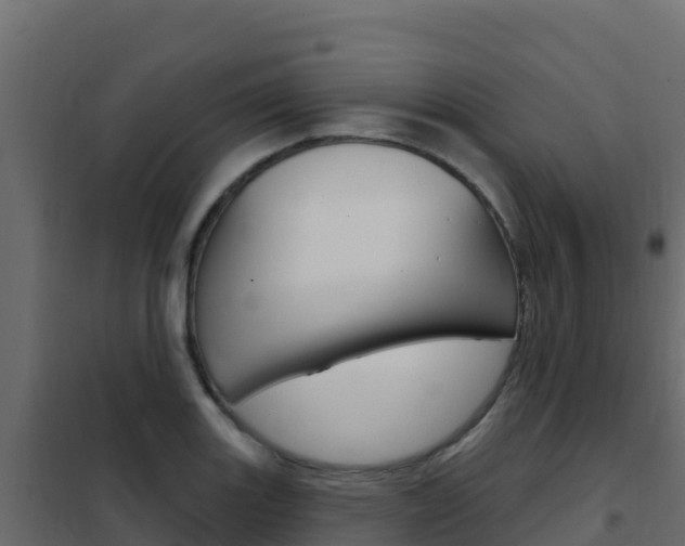 X0000102491131200808081050