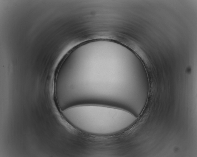 X0000102491132200808081050